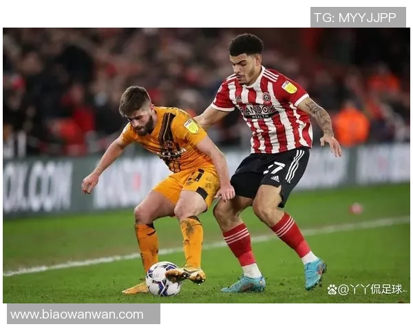 布莱顿主场迎战谢菲尔德联队期待精彩对决与激烈竞争