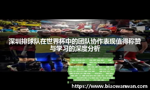 深圳排球队在世界杯中的团队协作表现值得称赞与学习的深度分析